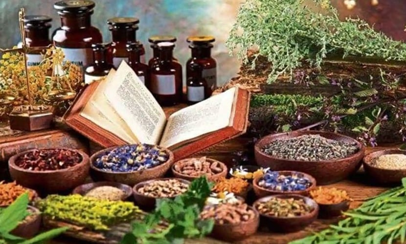 Jenny Ayurvedic Laboratories: A Trusted Name in Natural & Ayurvedic Healthcare